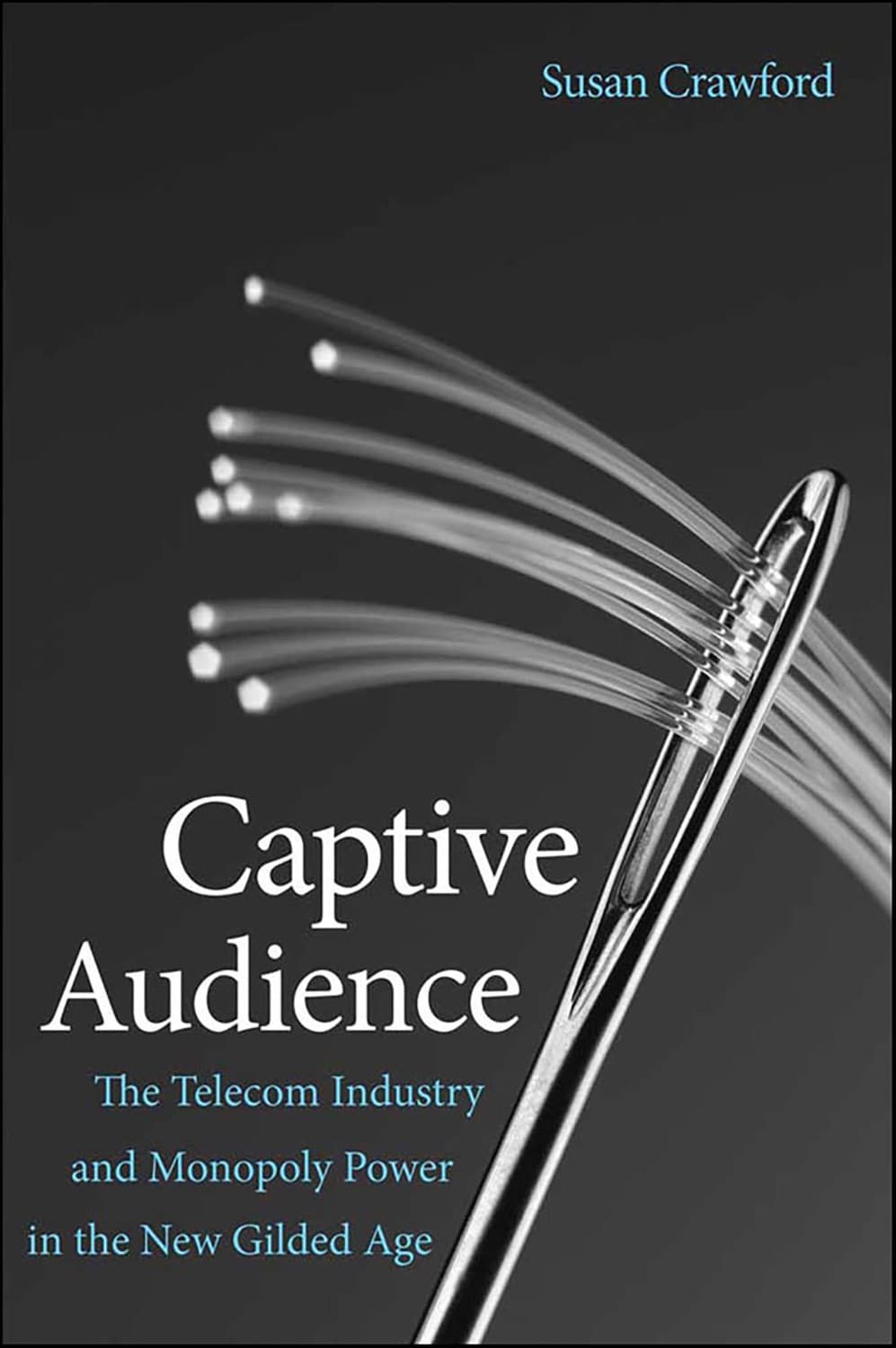 Captive Audience by Susan P. Crawford