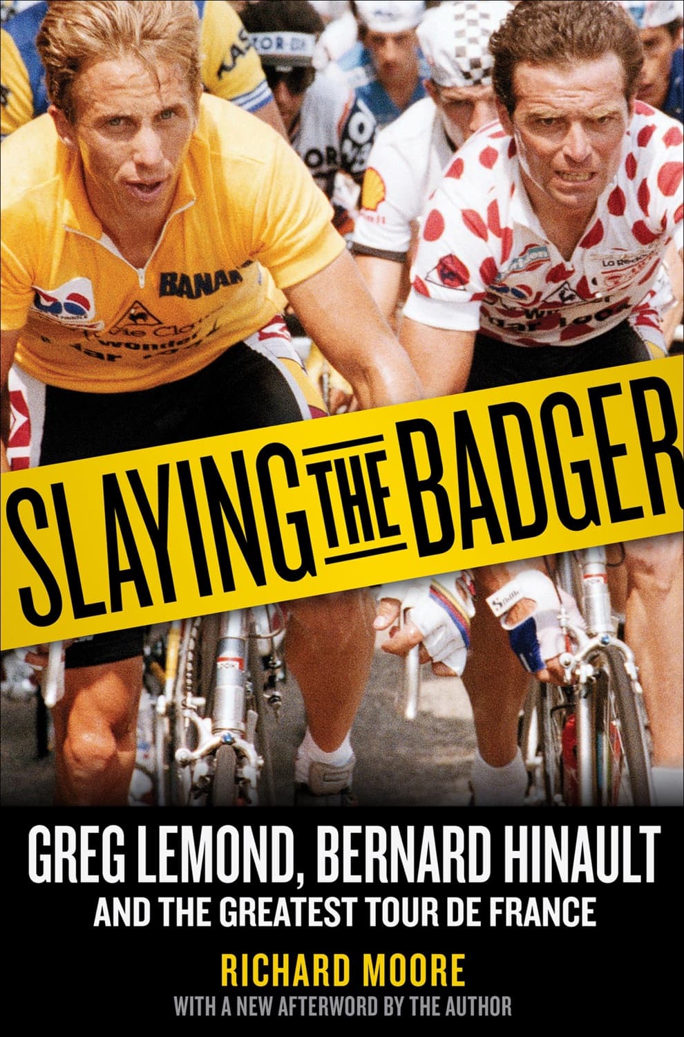 Slaying the Badger by Richard Moore