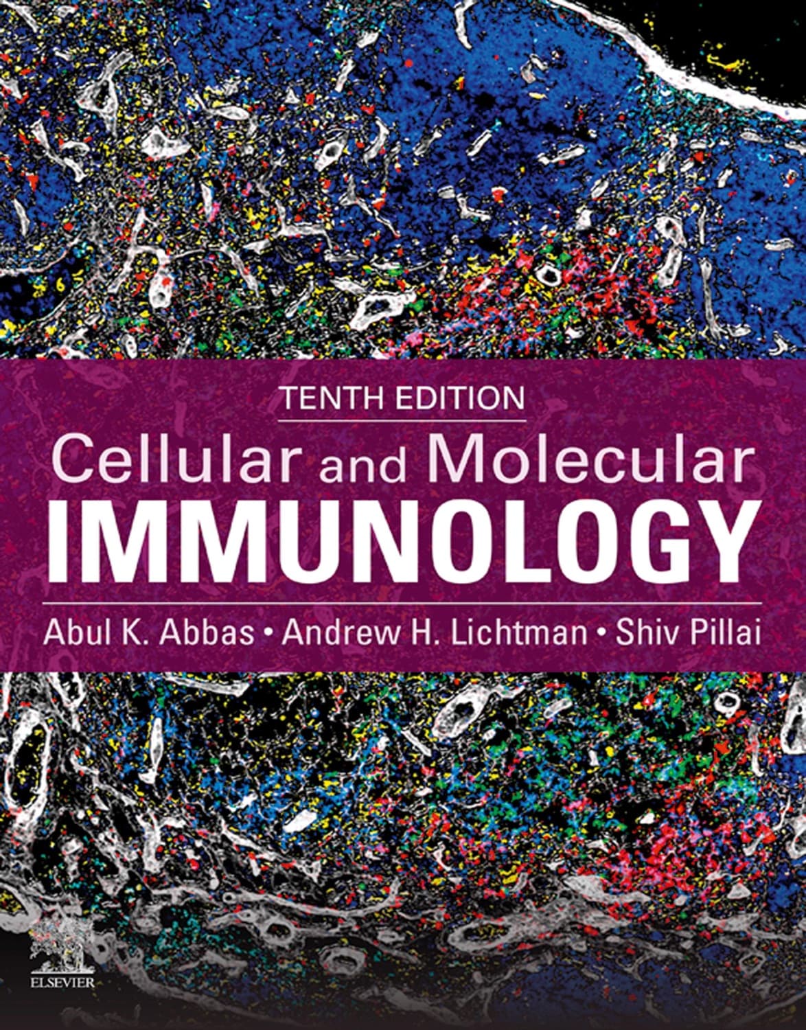 Cellular and molecular immunology by Abul K. Abbas, Andrew H. Lichtman, Shiv Pillai