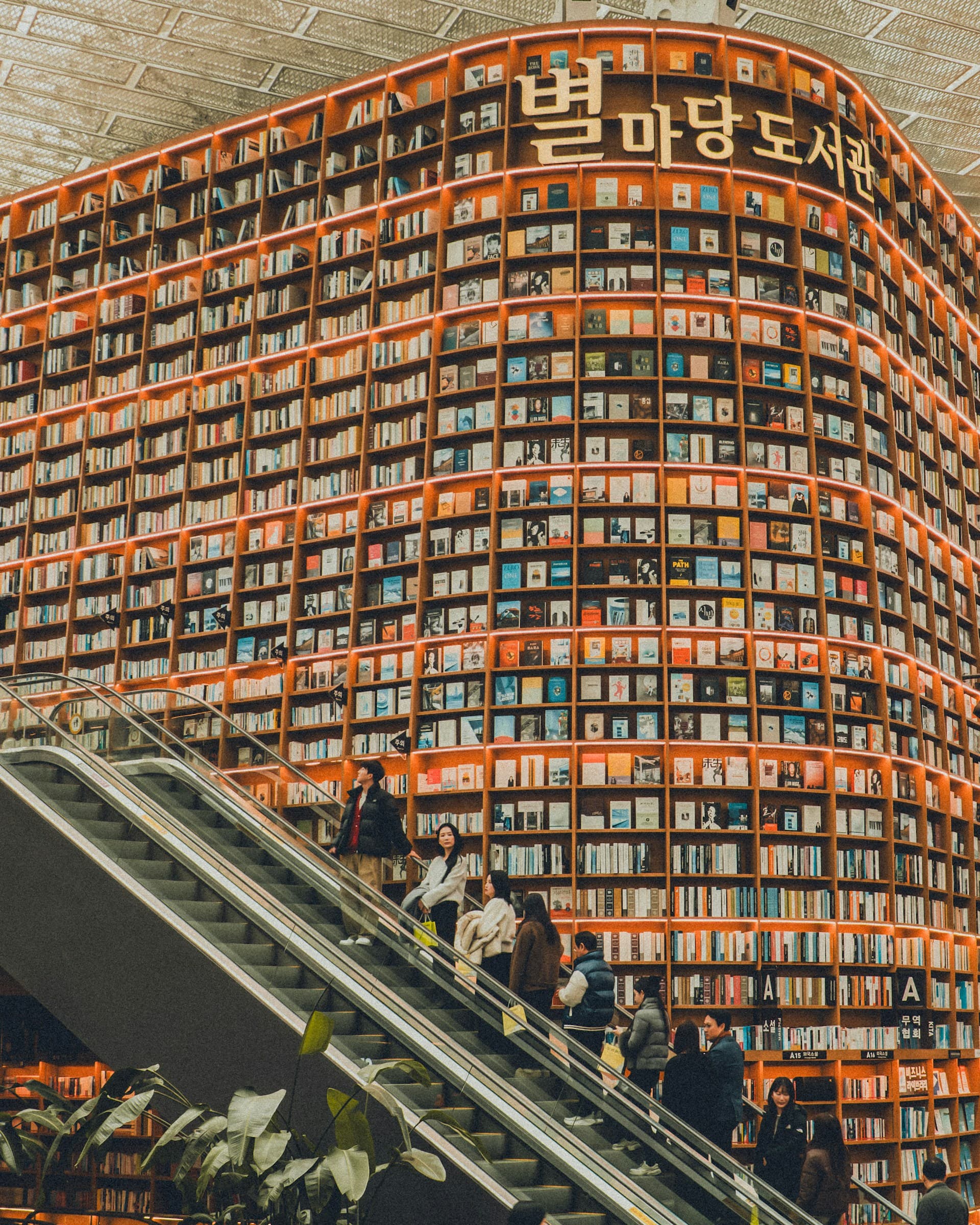 Cover image for Silicon Sovereignty: The 7 Essential Books to Master the Chip War and the Future of AI
