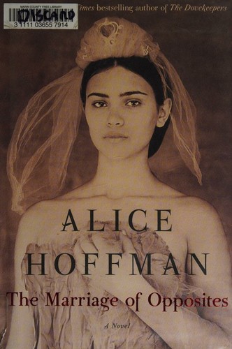 The Marriage of Opposites cover