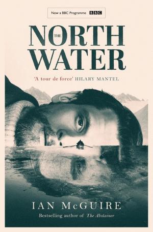 The North Water cover